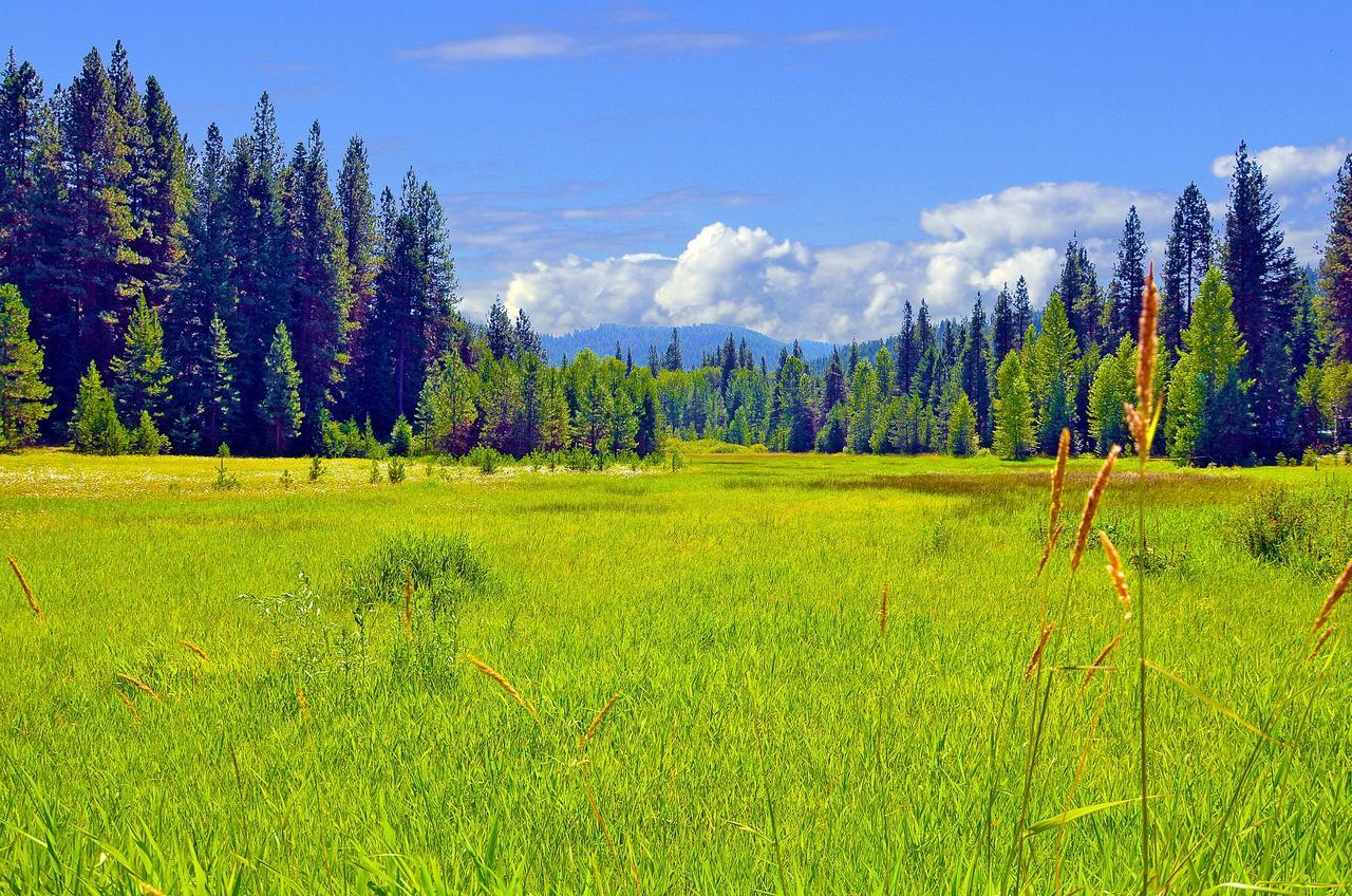 Leavenworth Camping Resort Tiny House Rudolf Экстерьер фото
